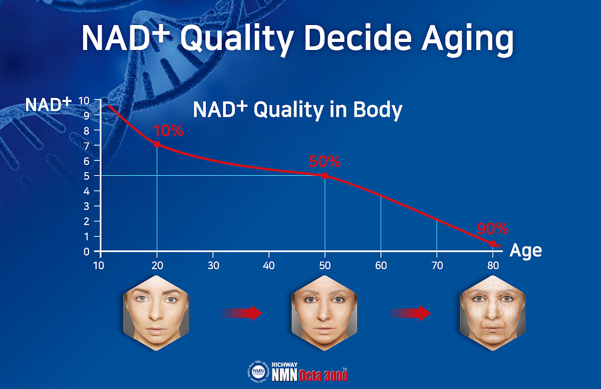 NAD+ Reduction with Aging