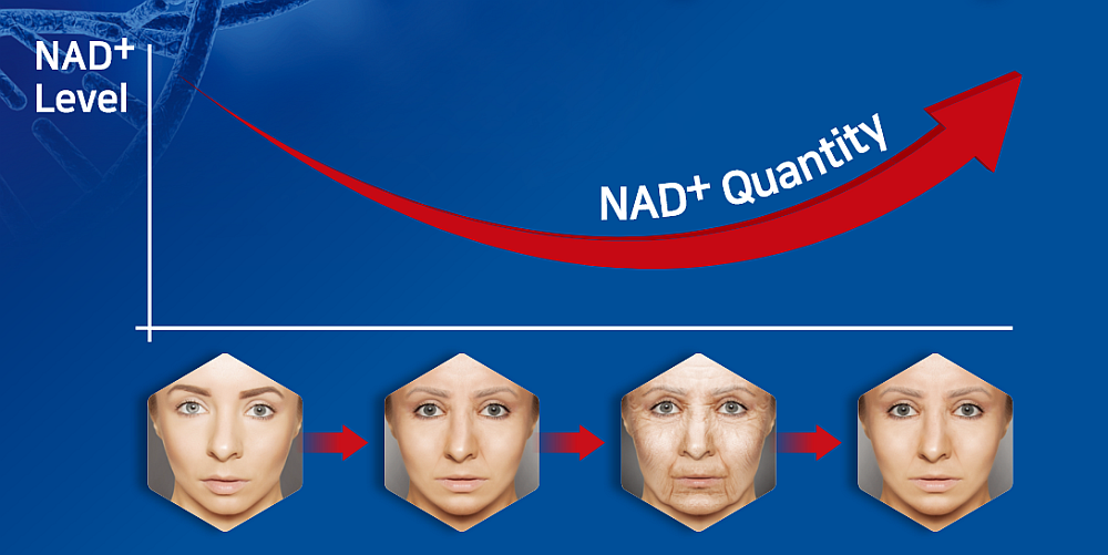 Taking NMN Increases NAD+ To Become Younger