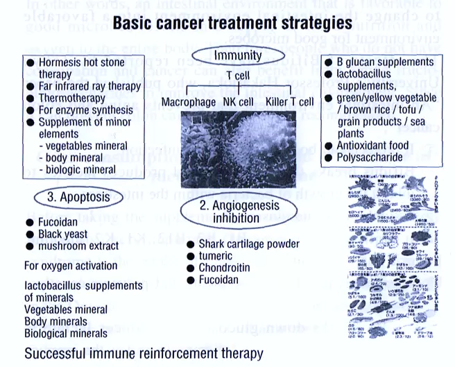 Basic Cancer Treatment Strategies