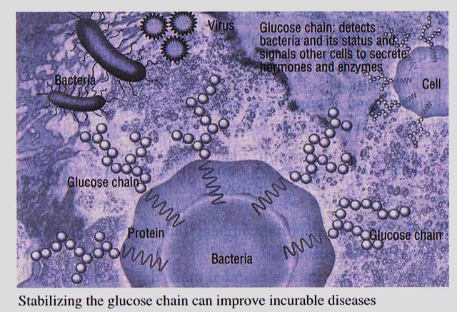 stabilizing glucose