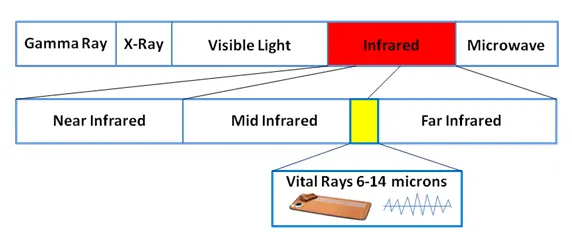 Biomat Human Infrared Spectrum