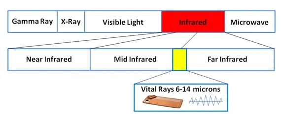 Biomat Human Infrared