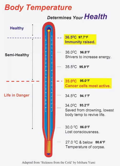 Body Temperature Thermometer