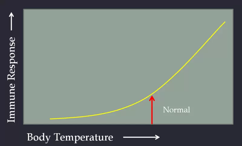 Body Temperature Vs Immune Response
