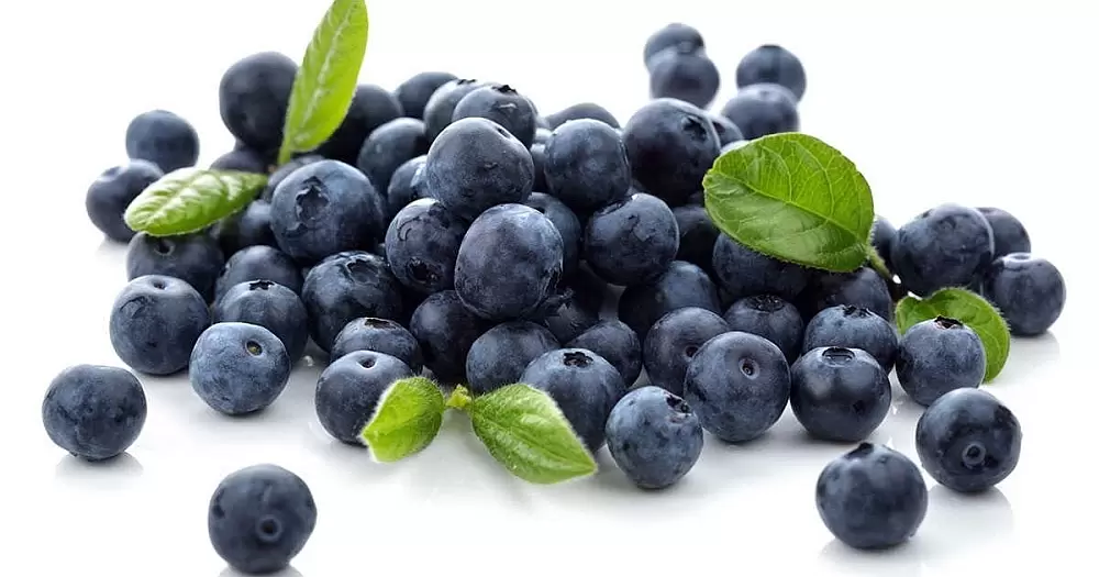 Blueberries