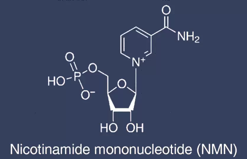 Nmn Molocule