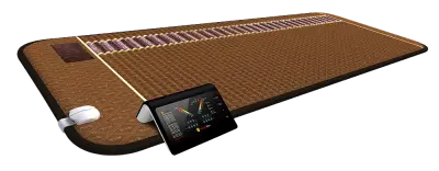 Bundle: Biomat Professional plus Professional Quantum Energy Pad - 120V